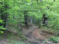 Wehikul 25 lat SKT (49)